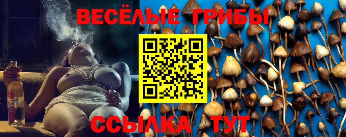 Псилоцибиновые грибы Cubensis  Псилоцибиновые грибы мухоморы  где продают   Белая Калитва  Вход с VPN 